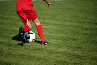 九游网页版官网-俱乐部青训体系与职业联赛脱节，俱乐部青训有工资吗